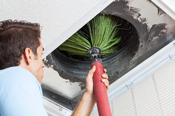 Best Air Duct Cleaning Near Me  in Beecher, IL