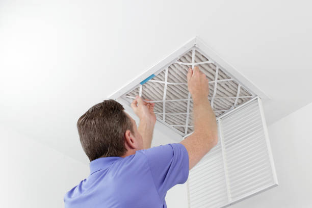 Best Affordable Air Duct Cleaning  in Beecher, IL
